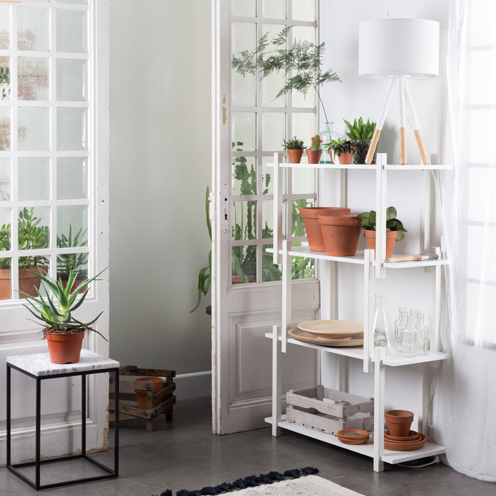 151603-x10.jpg (2931997) 