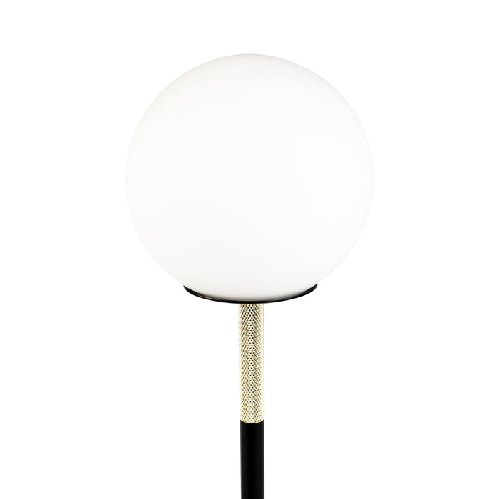 302603-x3.jpg (2934784) 