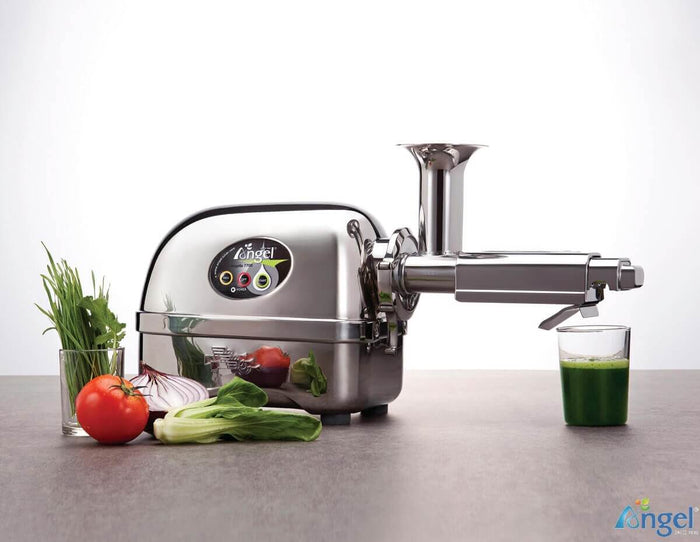 Angel Juicer 8500 S
