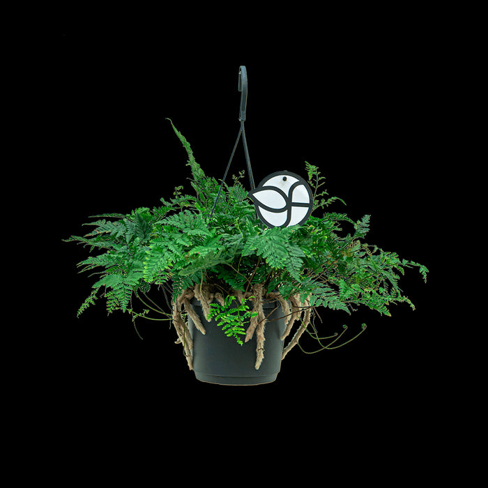 dc936129-1e92-4acb-81d3-a90159247911-sfeerbeeld.jpg (2947114) 