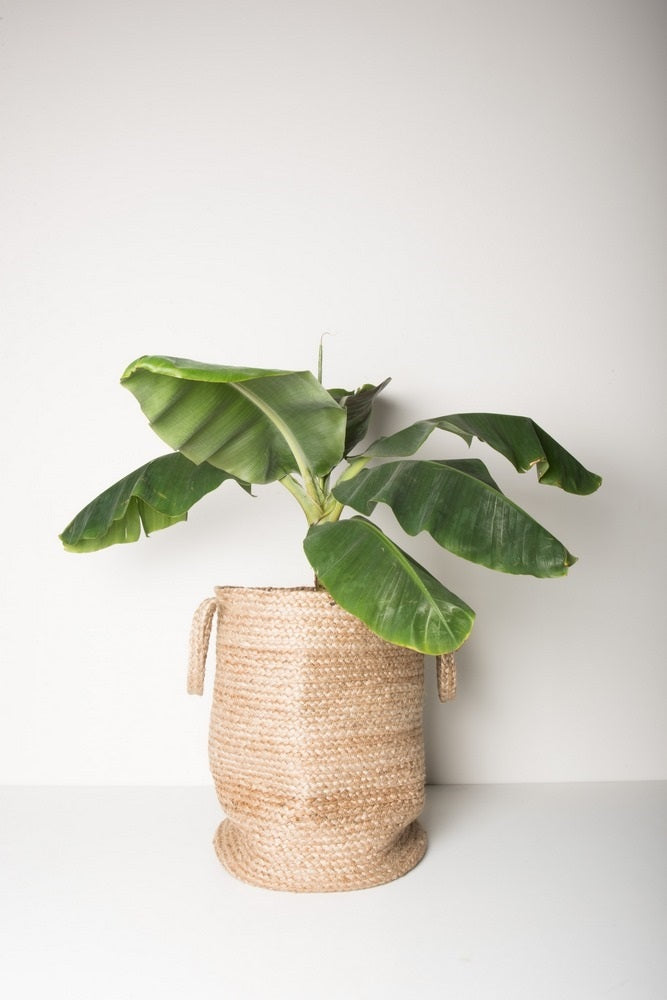 258609-3.jpg (2949526) 