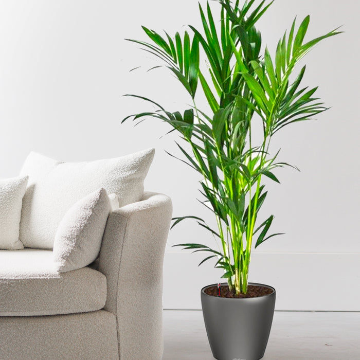 95273122-55a5-4e64-b816-043dc300750b-afbeelding3.jpg (2949689) 