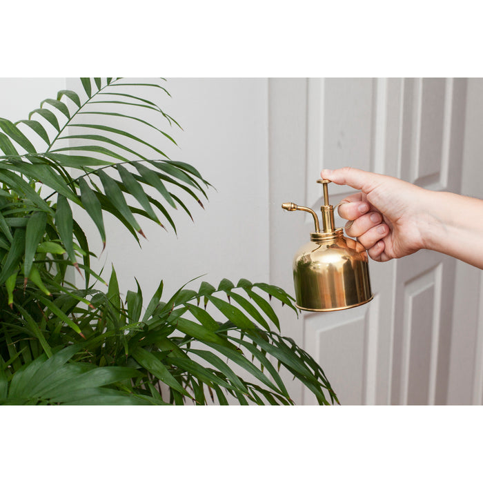 Kikkerland Plantenspuit