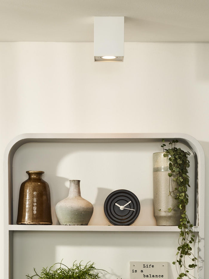 2703b7b2-8a4d-4bb9-af56-ad58090f433e-afbeelding4.jpg (2966096) 