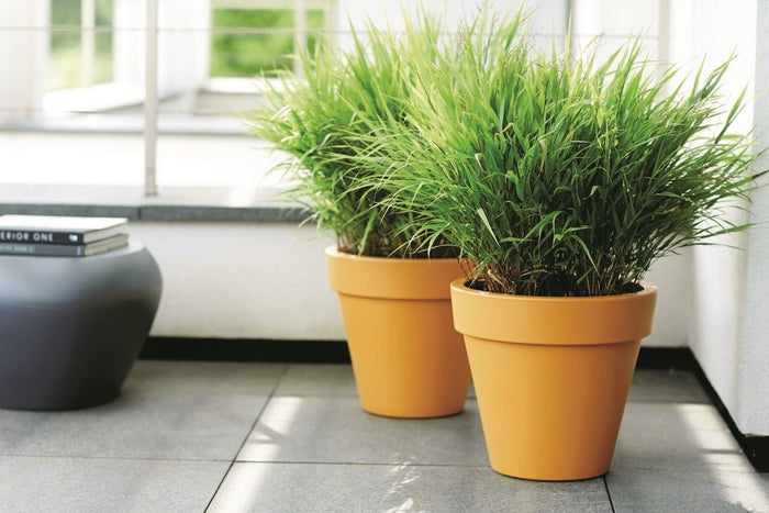 Elho Pure Round Bloempot 100 cm Antraciet