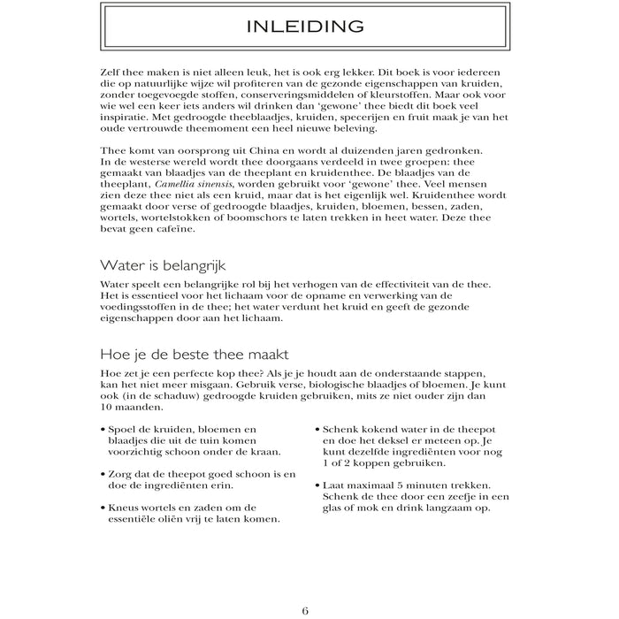 Gezonde thee - Fern Green