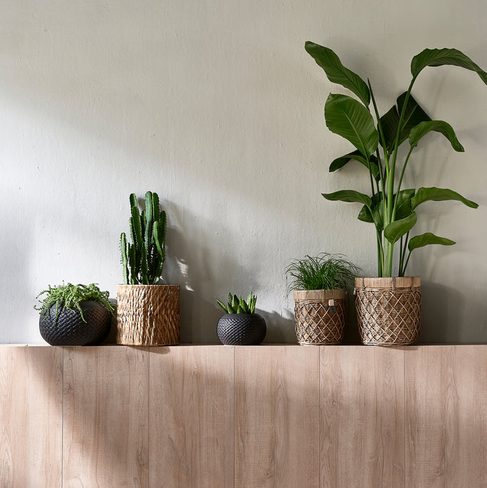 2bdfe810-8dfe-4276-9a25-268484d3dc4d-afbeelding12.jpg (3017095) 