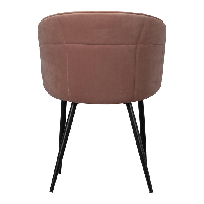 2_446636-x04.jpg (3026303) 