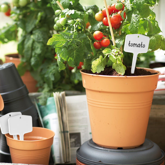 Elho Green Basics Plantlabels M - Set van 5