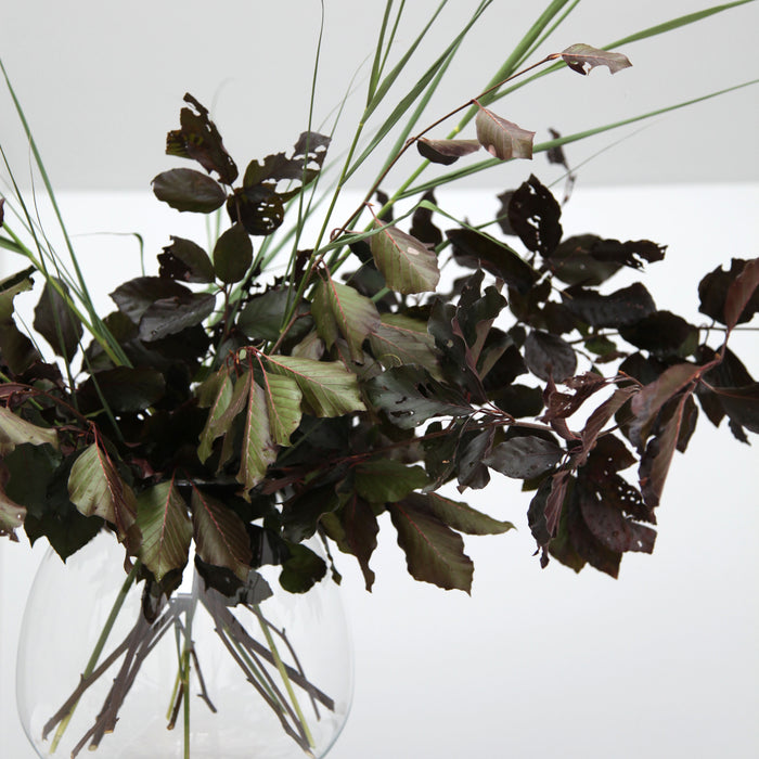 ONSHUS Moon Vaas - Transparant