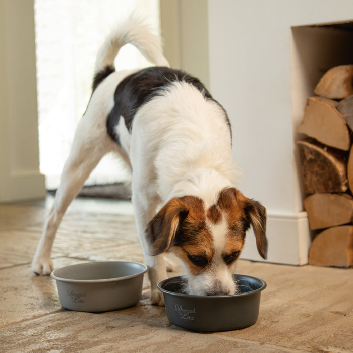 Designed By Lotte Feribo Voer- en drinkbak Hond