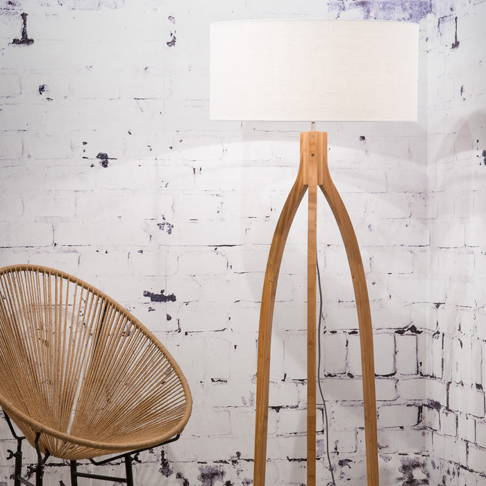 217643-x01.jpg (3043805) 