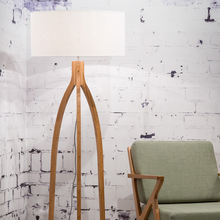 217643-x02.jpg (3043806) 