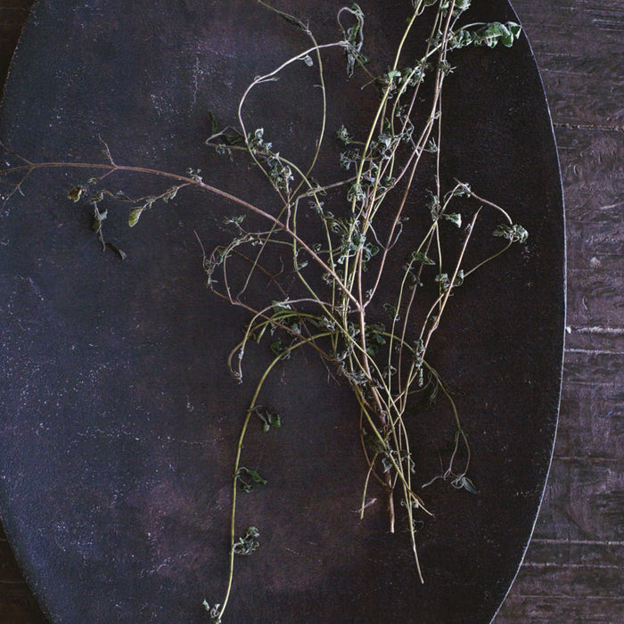 Sous Vide thuis - Lisa Q. Fetterman