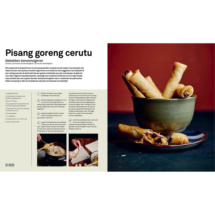 Basisboek Indonesisch - Francis Kuijk