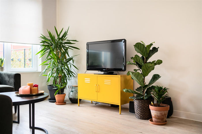 99082003-aac8-454c-8c4c-9981fe155aaa-afbeelding8.jpg (3054938) 