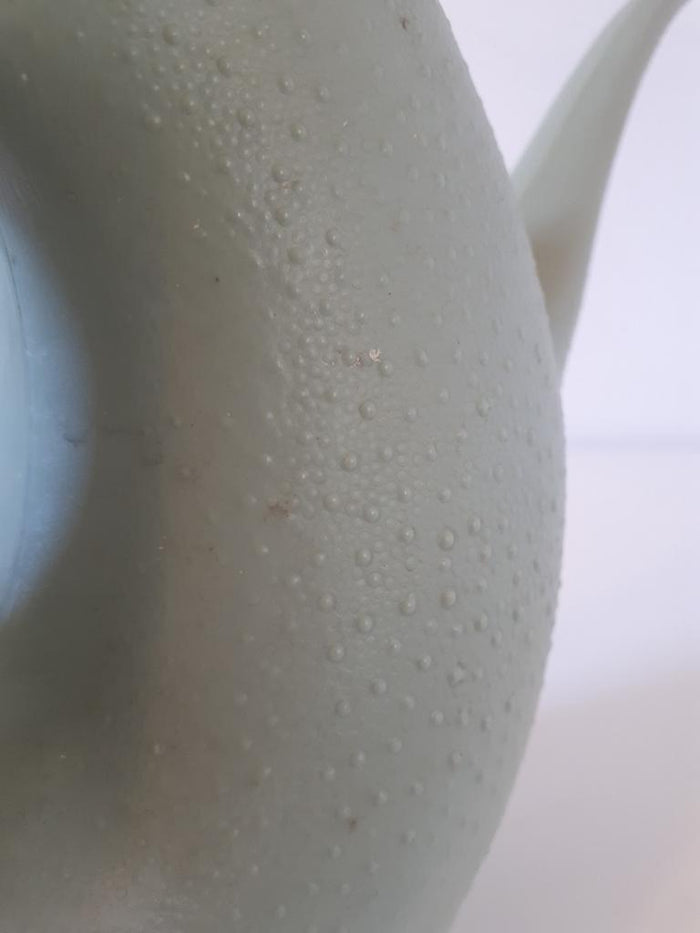 Reliving Mintgroene Vintage Gieter Vitri Bloemgieter Plantengieter