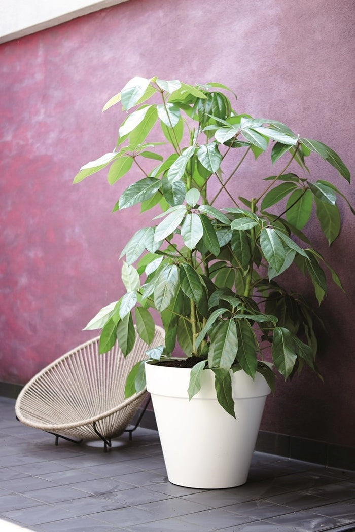 Elho Loft Urban Round Bloempot 30 cm