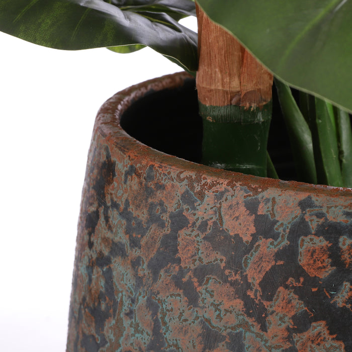 72c90af5-4c93-4eb6-a465-86281412e7a7-afbeelding10.jpg (3116331) 