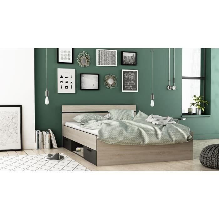 DEMEYERE Industrieel bed voor volwassenen 140x190 met 2 lades + 1 nis