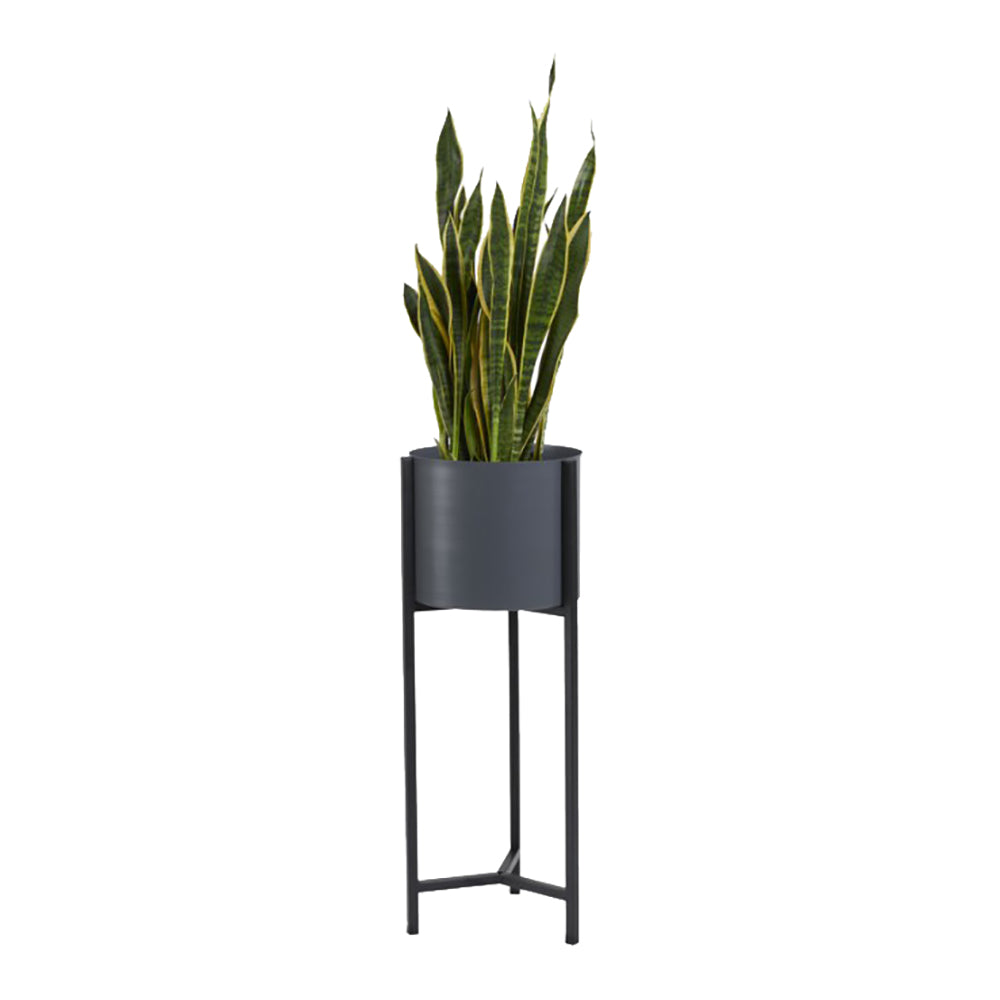 302672-x0.jpg (3126834) 