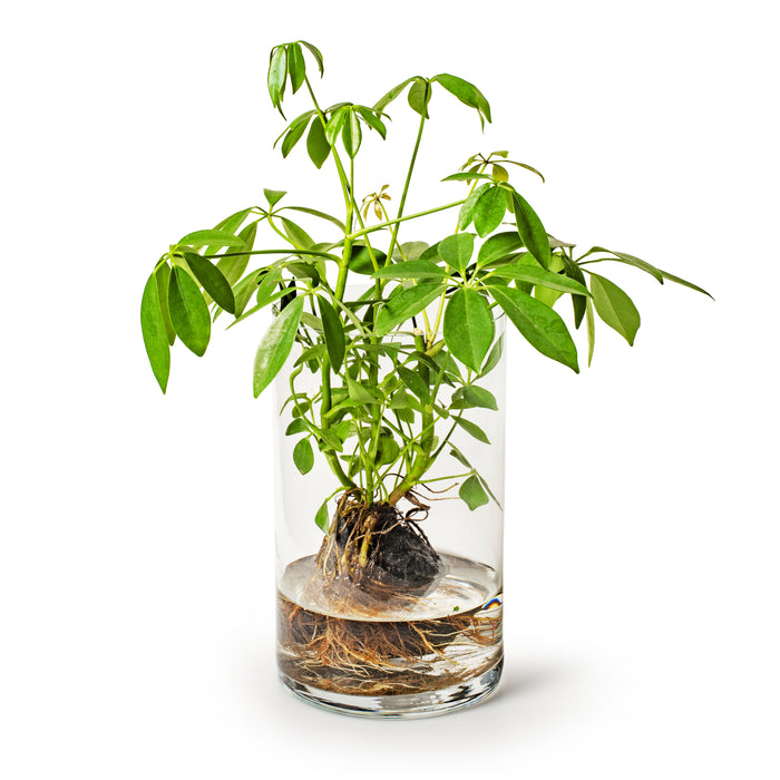 08f05beb-fe60-4aff-afe5-af6abc23a193-afbeelding3.jpg (3127975) 