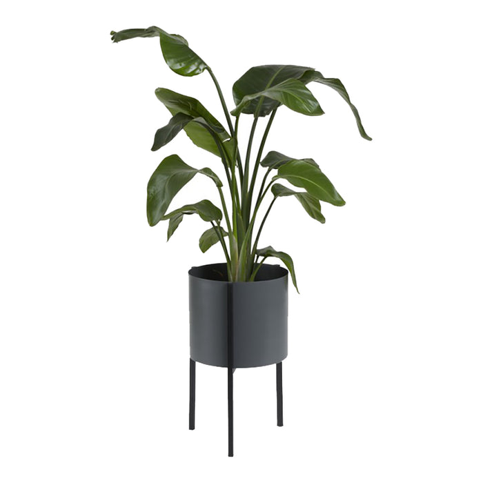 302673-x0.jpg (3129551) 