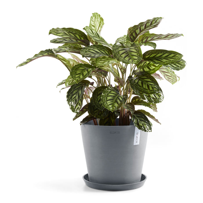 Ecopots Amsterdam 40