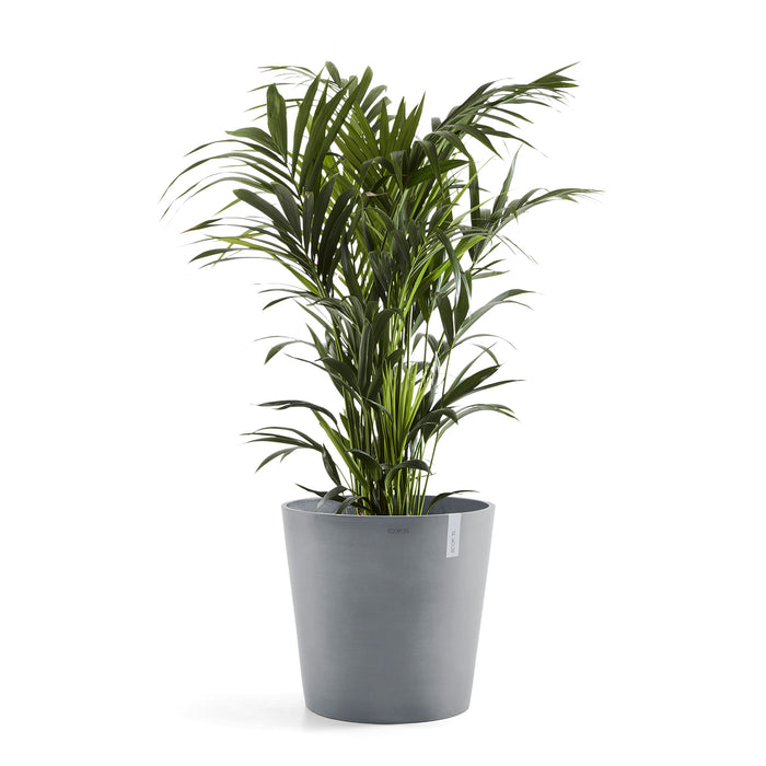 Ecopots Amsterdam 50