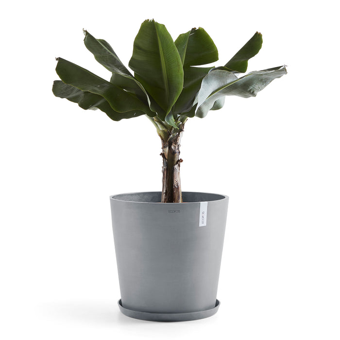 Ecopots Amsterdam 50