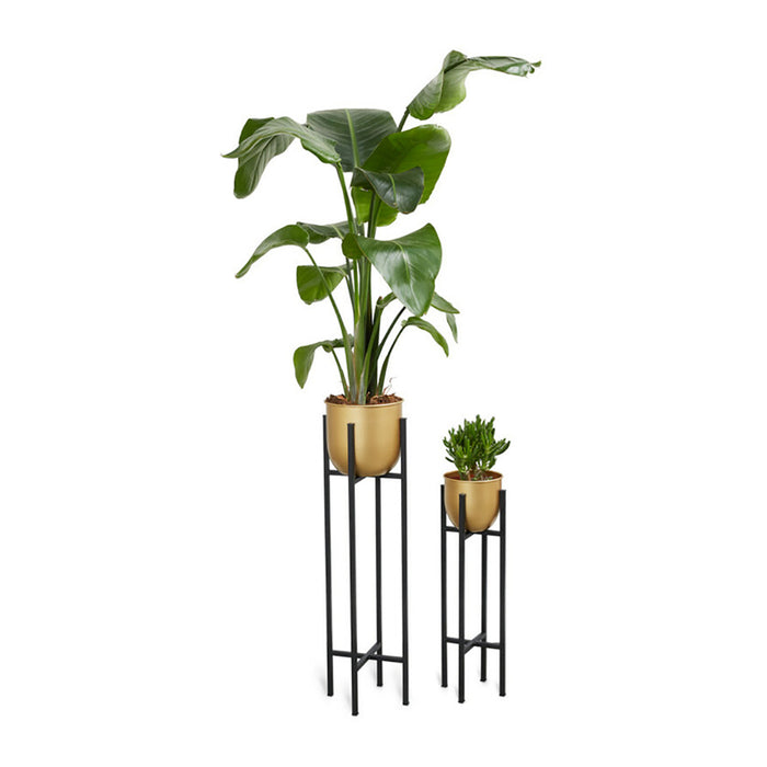 302677-x2.jpg (3140655) 