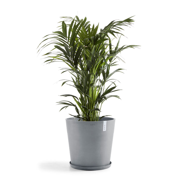 Ecopots Amsterdam 60