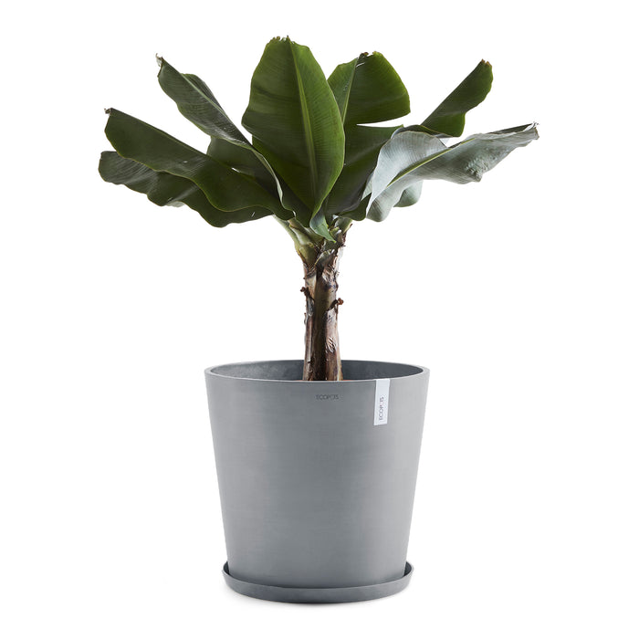 Ecopots Amsterdam 60