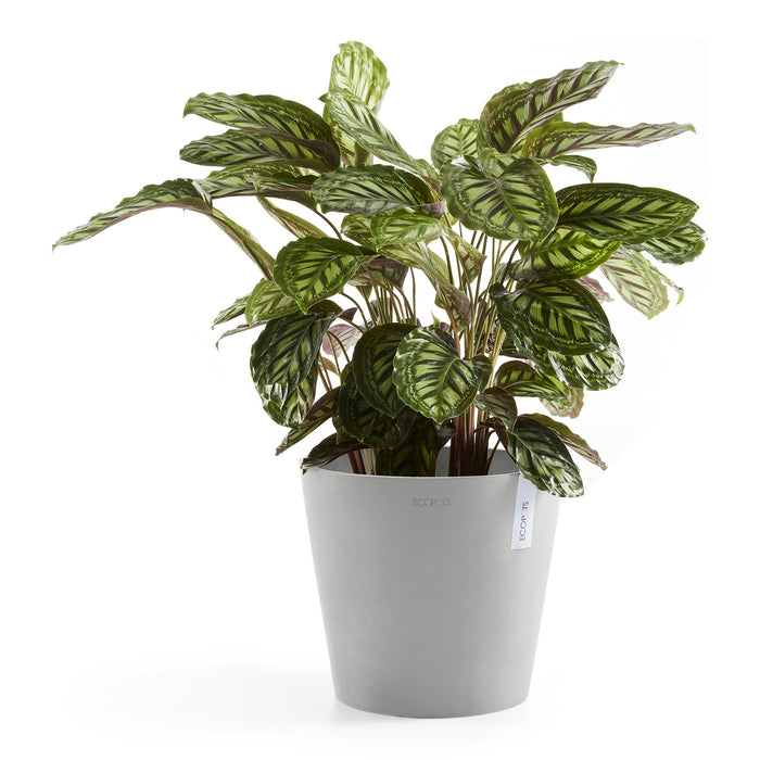 Ecopots Amsterdam 40