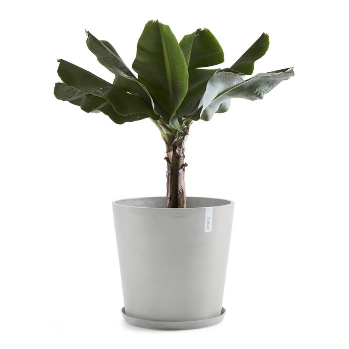 Ecopots Amsterdam 50