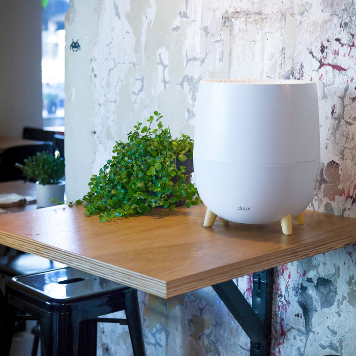 Duux Ovi Luchtbevochtiger DXHU01 - 200ml|u - PET + Nylon filter - Wit