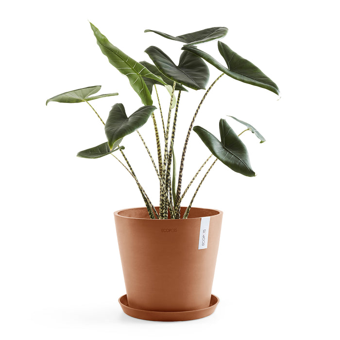 Ecopots Amsterdam 40