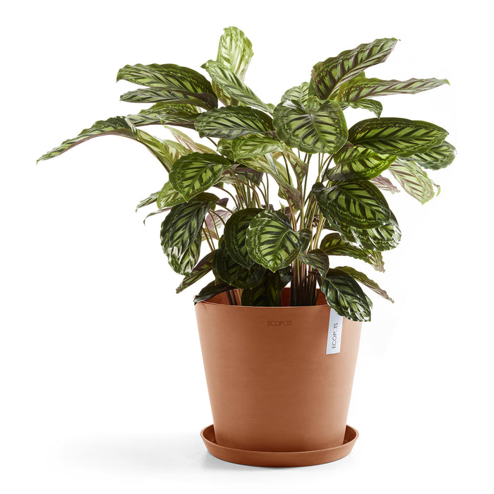 Ecopots Amsterdam 40