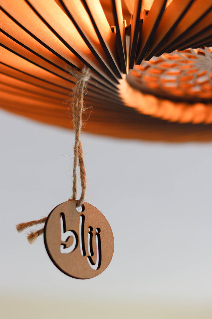 1a5b28d3-fd96-4d4b-9871-9eacd0b72a84-afbeelding3.jpg (3153915) 