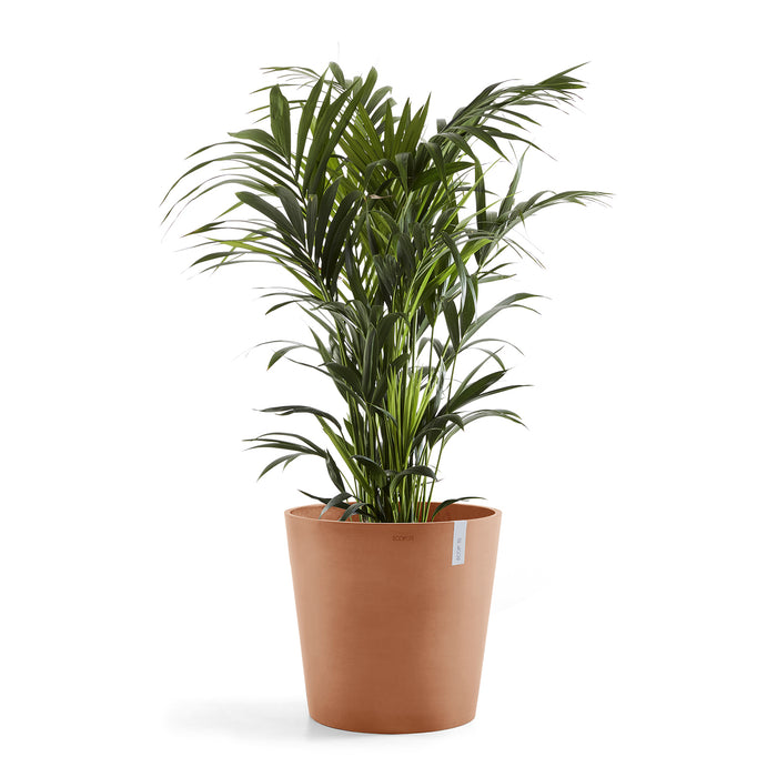 Ecopots Amsterdam 50