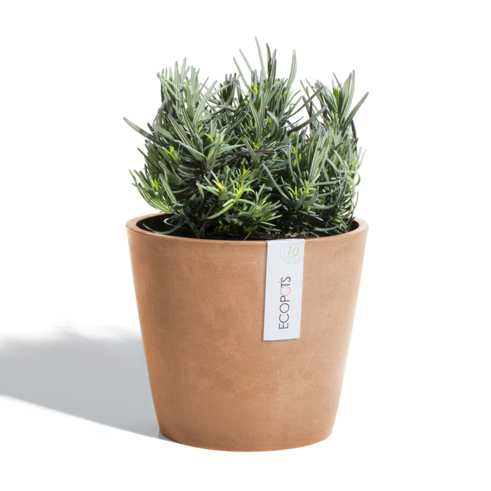 Ecopots Amsterdam 60