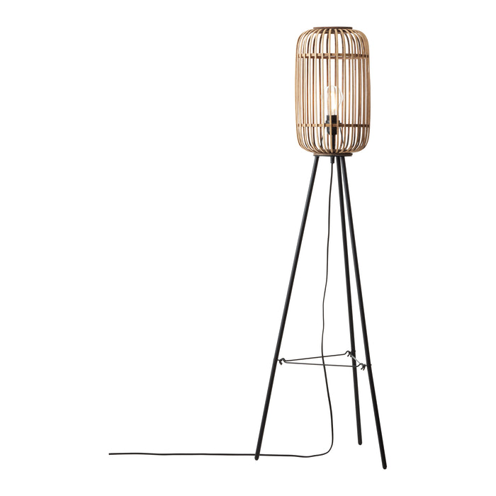 310687-x06.jpg (3167884) 