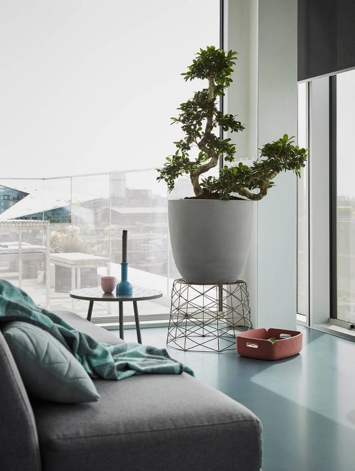 Capi Europe Urban Smooth Egg Planter Bloempot 43 cm