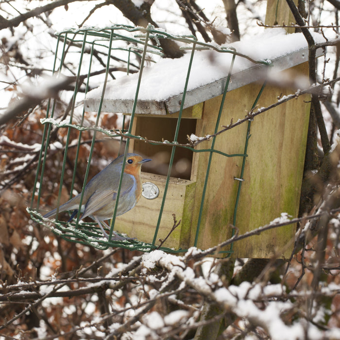 Esschert Nestkast Roodborst