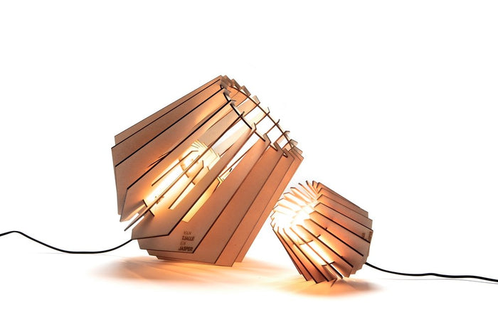 Van Tjalle en Jasper Spotnik en Minispot set