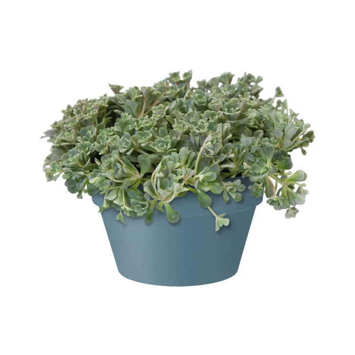 Elho Loft Urban Lage bloembak 35 cm Blauw