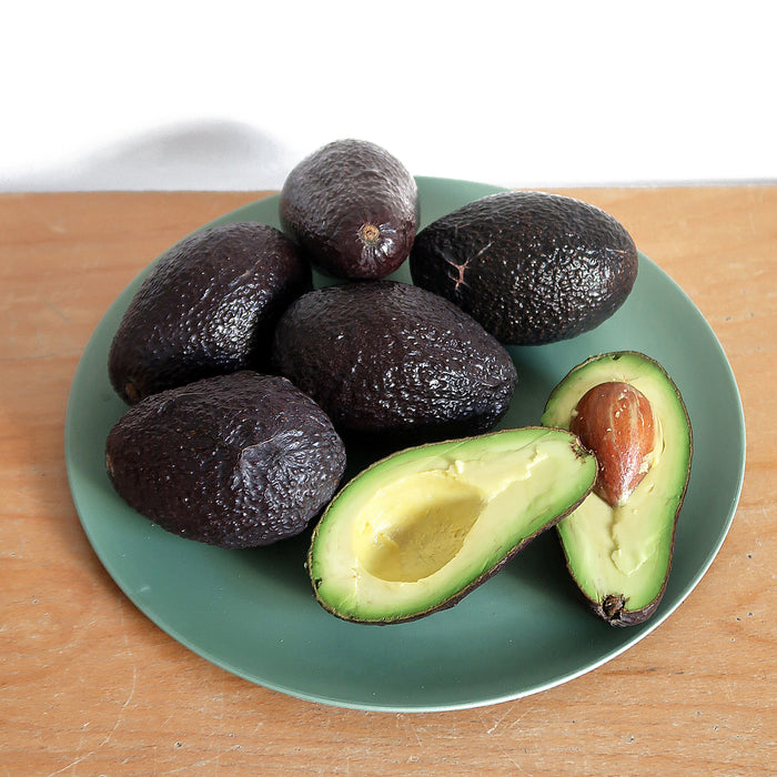 Zuperzozial Flavour-It Bord 4 st. - Ø 25,5 cm - Rosemary