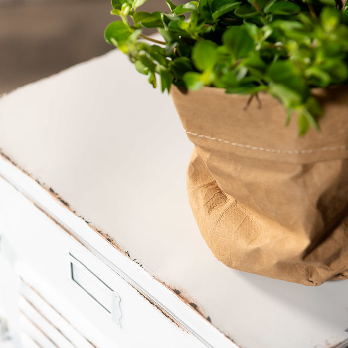 Rootsmann Locker 4 Deuren | Wit