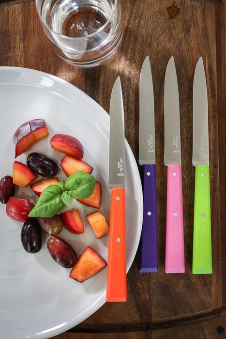 Opinel N°125 Bon Appétit Pop Tafelmessenset - 4-delig - Multicolor