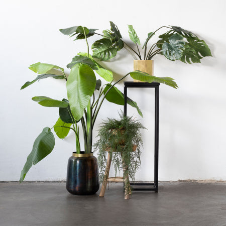 1fad1f89-ddaf-4dea-832b-d0046c81c6d5-sfeerbeeld.jpg (3211610) 